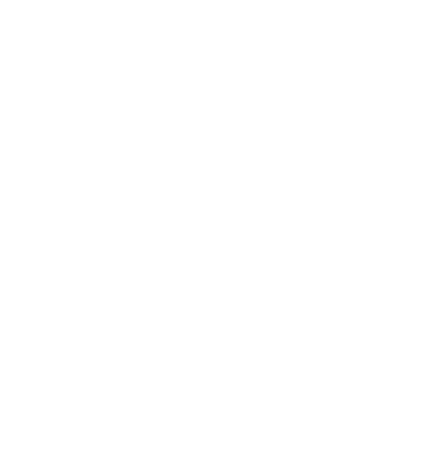 SNB Immobiliare